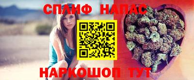 дживик Можга