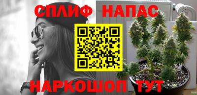 дживик Можга