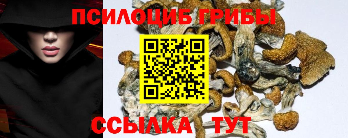 Псилоцибиновые грибы мицелий  Вход с VPN  Улан-Удэ 