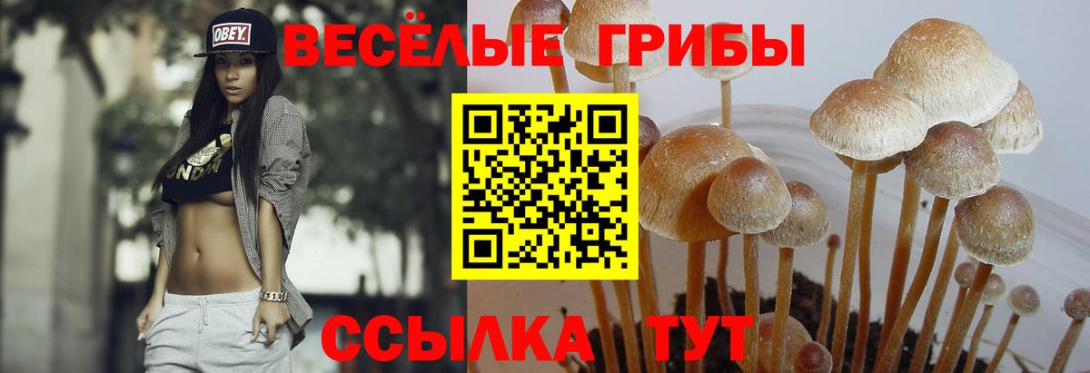Галлюциногенные грибы GOLDEN TEACHER Улан-Удэ